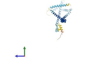 Protein Structure (PS) image for HAUS Augmin-Like Complex, Subunit 4 (HAUS4) (AA 1-363) protein (His tag) (ABIN7548260)