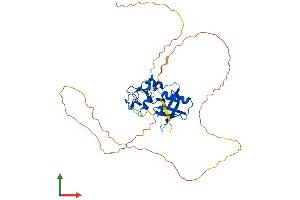 Protein Structure (PS) image for Ring Finger Protein 146 (RNF146) (AA 1-359) protein (His tag) (ABIN7555255)