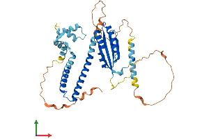 Protein Structure (PS) image for N-Terminal EF-Hand Calcium Binding Protein 3 (NECAB3) (AA 1-396) protein (His tag) (ABIN7549712)