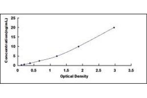 Typical standard curve (PSMA5 ELISA 试剂盒)