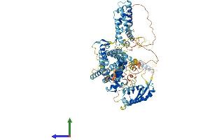 Protein Structure (PS) image for Sorting Nexin 14 (SNX14) (AA 1-946) protein (His tag) (ABIN7555589)