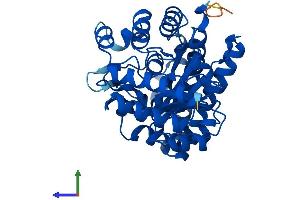 Protein Structure (PS) image for Uroporphyrinogen Decarboxylase (UROD) (AA 1-367) protein (His tag) (ABIN7556736)