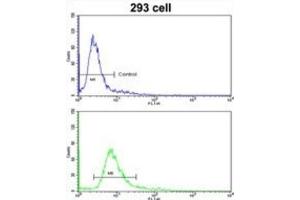 Flow Cytometry (FACS) image for anti-Homeobox A5 (HOXA5) antibody (ABIN3002754) (HOXA5 抗体)