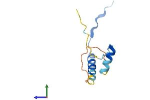 Protein Structure (PS) image for Cell Division Cycle 26 Homolog (CDC26) (AA 1-85) protein (Fc Tag) (ABIN7560315)