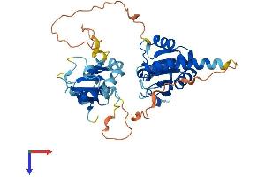 DUSP9 Protein (AA 1-384) (His tag)