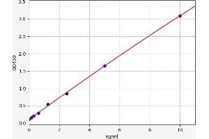 Typical standard curve (Cathepsin S ELISA 试剂盒)