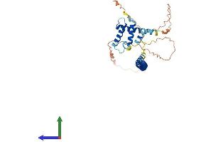 Protein Structure (PS) image for Nuclear Apoptosis Inducing Factor 1 (NAIF1) (AA 1-327) protein (His tag) (ABIN7549634)