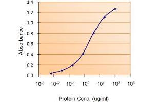 ABIN308453 (5ug/ml) as the reporter with  as the capture rabbit antibody (5ug/ml). (Lactoferrin 抗体  (Internal Region))