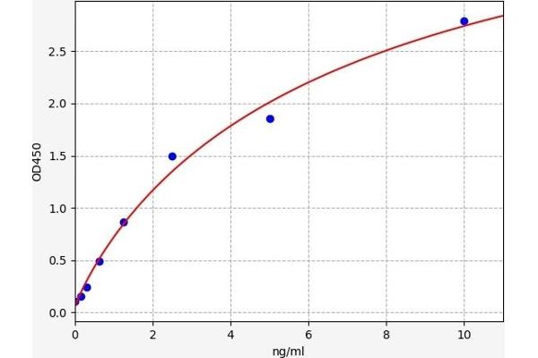 RGS1 ELISA 试剂盒