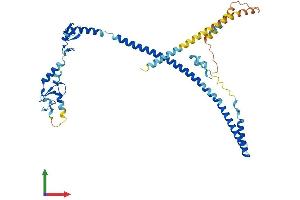 Protein Structure (PS) image for Tripartite Motif Containing 13 (TRIM13) (AA 1-407) protein (His tag) (ABIN7555827)