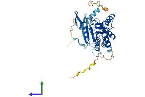 Protein Structure (PS) image for Septin 3 (SEPT3) (AA 1-358) protein (His tag) (ABIN7545936)