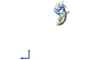 Protein Structure (PS) image for Tripartite Motif Containing 39 (TRIM39) (AA 1-518) protein (His tag) (ABIN7544799)