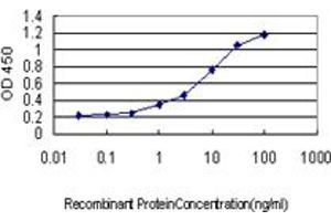 Detection limit for recombinant GST tagged ZBTB33 is approximately 0. (ZBTB33 抗体  (AA 564-673))