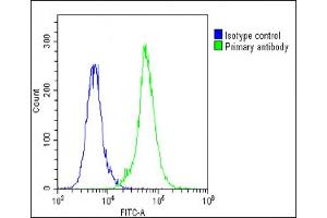 Overlay histogram showing A549 cells stained with (ABIN1537480 and ABIN2848885)(green line). (LOXL4 抗体  (C-Term))