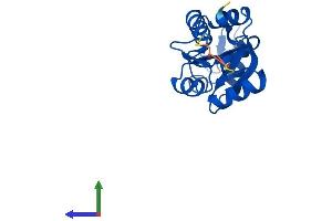 Protein Structure (PS) image for Magnesium-Dependent Phosphatase 1 (MDP1) (AA 1-176) protein (His tag) (ABIN7549341)