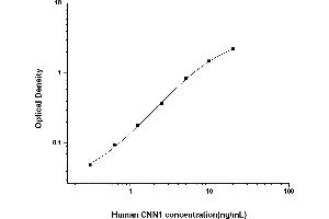 Typical standard curve (CNN1 ELISA 试剂盒)