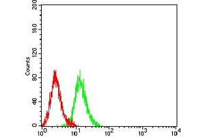 Flow cytometric analysis of K562 cells using ADAP1 mouse mAb (green) and negative control (red). (ADAP1 抗体  (AA 240-370))