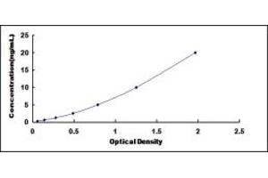 Typical standard curve (VHL ELISA 试剂盒)