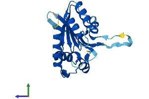 AlphaFold protein structure predicition of Human Recombinant APOBEC3A Protein, UniprotID P31941