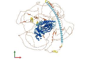 AlphaFold protein structure predicition of Mouse Recombinant Syngap1 Protein, UniprotID F6SEU4