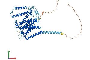 Protein Structure (PS) image for phosphatidylserine Synthase 2 (PTDSS2) (AA 1-473) protein (His tag) (ABIN7556396)