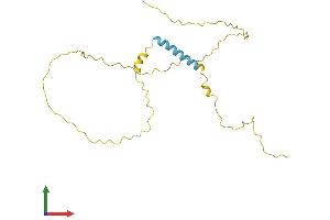 AlphaFold protein structure predicition of Human Recombinant TCEAL5 Protein, UniprotID Q5H9L2