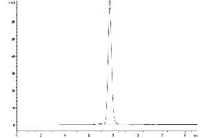 Size-exclusion chromatography-High Pressure Liquid Chromatography (SEC-HPLC) image for Killer Cell Lectin-Like Receptor Subfamily K, Member 1 (KLRK1) (AA 90-232) protein (Fc Tag) (ABIN7275346)