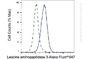 Validation of Leucine aminopeptidase 3 knockdown using flow cytometry. (Recombinant LAP3 抗体)