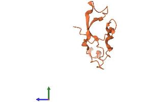 AlphaFold protein structure predicition of Mouse Recombinant Sprr2a3 Protein, UniprotID Q4KL71