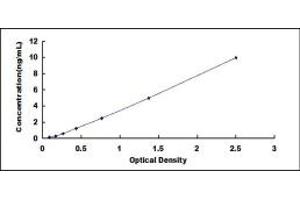 Typical standard curve (BRD1 ELISA 试剂盒)