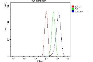 Flow Cytometry analysis of PC-3 cells using anti-BCKDHA antibody (ABIN7601223).