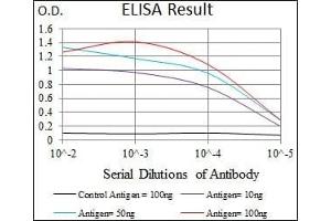 Black line: Control Antigen (100 ng), Purple line: Antigen(10 ng), Blue line: Antigen (50 ng), Red line: Antigen (100 ng), (RELB 抗体  (AA 273-443))