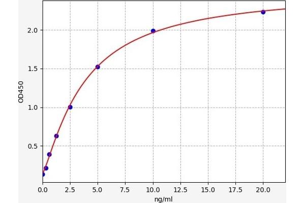 MPEG1 ELISA 试剂盒