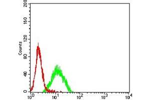 Flow cytometric analysis of K562 cells using CD96 mouse mAb (green) and negative control (red). (CD96 抗体  (AA 321-519))