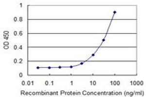 Detection limit for recombinant GST tagged ZFYVE16 is 1 ng/ml as a capture antibody. (ZFYVE16 抗体  (AA 1-100))