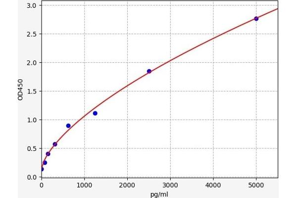 CES5A ELISA 试剂盒