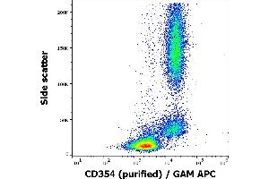 Flow cytometry surface staining pattern of human peripheral whole blood stained using anti-human CD354 (6B1) purified antibody (concentration in sample 1,67 μg/mL, GAM APC). (TREM1 抗体)