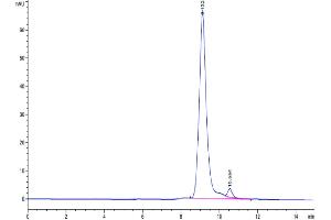 Size-exclusion chromatography-High Pressure Liquid Chromatography (SEC-HPLC) image for Plasminogen Activator, Urokinase (PLAU) (AA 21-430) protein (His tag) (ABIN7275453)