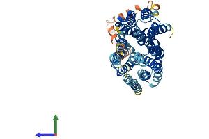 Protein Structure (PS) image for Solute Carrier Family 43, Member 3 (SLC43A3) (AA 1-502) protein (His tag) (ABIN7561965)