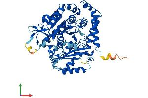 Protein Structure (PS) image for Tubulin, alpha 8 (TUBA8) (AA 1-449) protein (His tag) (ABIN7561616)
