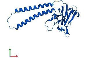 Protein Structure (PS) image for Cytochrome C Oxidase Subunit II (COX2) (AA 1-227) protein (His tag) (ABIN7562720)