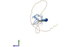 AlphaFold protein structure predicition of Human Recombinant XRCC4 Protein, UniprotID Q13426