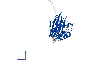 Protein Structure (PS) image for E3 Ubiquitin-Protein Ligase SIAH1 (SIAH1) (AA 1-282) protein (His tag) (ABIN7563491)