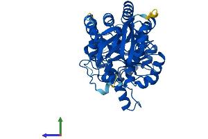 Protein Structure (PS) image for Guanine Deaminase (GDA) (AA 1-454) protein (His tag) (ABIN7556208)