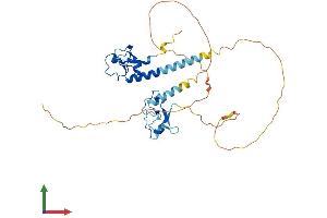 Protein Structure (PS) image for Muscleblind-Like Splicing Regulator 3 (MBNL3) (AA 1-342) protein (His tag) (ABIN7559610)