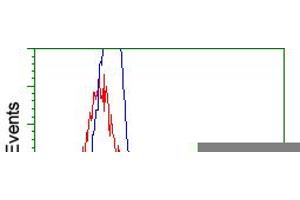 HEK293T cells transfected with either pCMV6-ENTRY RNF144B (RC209302) (Red) or empty vector control plasmid (Blue) were immunostained with anti-RNF144B mouse monoclonal (ABIN2453610), and then analyzed by flow cytometry. (RNF144B 抗体  (AA 1-256))