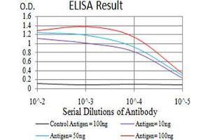 Black line: Control Antigen (100 ng),Purple line: Antigen (10 ng), Blue line: Antigen (50 ng), Red line:Antigen (100 ng) (TCF4 抗体  (AA 518-667))