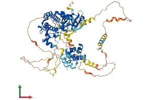 Protein Structure (PS) image for Receptor (TNFRSF)-Interacting serine-threonine Kinase 1 (RIPK1) (AA 1-656) protein (His tag) (ABIN7563883)