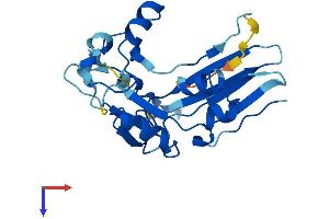 AlphaFold protein structure predicition of Human Recombinant GGTLC2 Protein, UniprotID Q14390