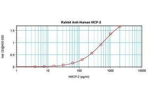Image no. 5 for anti-Chemokine (C-C Motif) Ligand 8 (CCL8) antibody (ABIN465585)